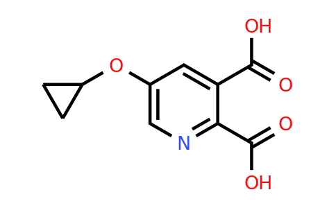 CAS 1243385-44-5 | 5-Cyclopropoxypyridine-2,3-dicarboxylic acid