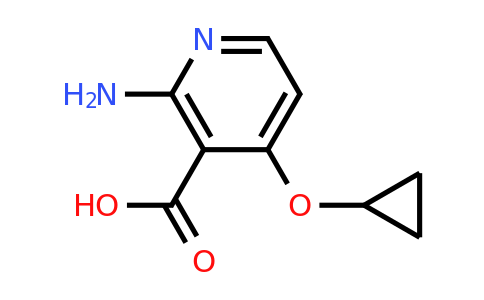 CAS 1243385-83-2 | 2-Amino-4-cyclopropoxynicotinic acid