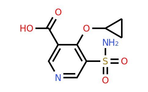 CAS 1243387-24-7 | 4-Cyclopropoxy-5-sulfamoylnicotinic acid