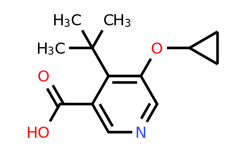 CAS 1243391-37-8 | 4-Tert-butyl-5-cyclopropoxynicotinic acid