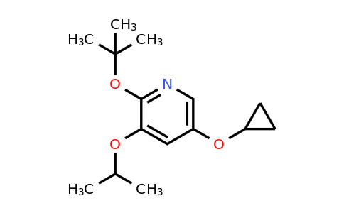 CAS 1243391-50-5 | 2-Tert-butoxy-5-cyclopropoxy-3-isopropoxypyridine