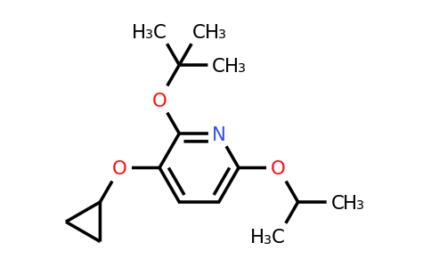 CAS 1243391-51-6 | 2-Tert-butoxy-3-cyclopropoxy-6-isopropoxypyridine
