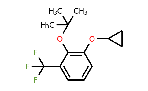 CAS 1243392-24-6 | 2-Tert-butoxy-1-cyclopropoxy-3-(trifluoromethyl)benzene