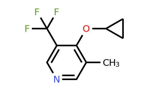 CAS 1243392-45-1 | 4-Cyclopropoxy-3-methyl-5-(trifluoromethyl)pyridine