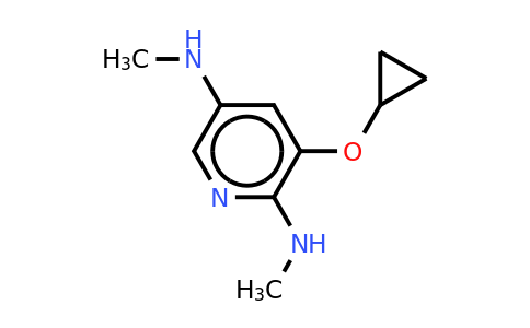 CAS 1243392-68-8 | 3-Cyclopropoxy-2-N,5-N-dimethylpyridine-2,5-diamine