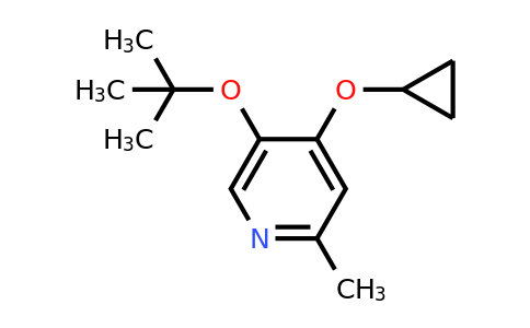 CAS 1243392-84-8 | 5-Tert-butoxy-4-cyclopropoxy-2-methylpyridine