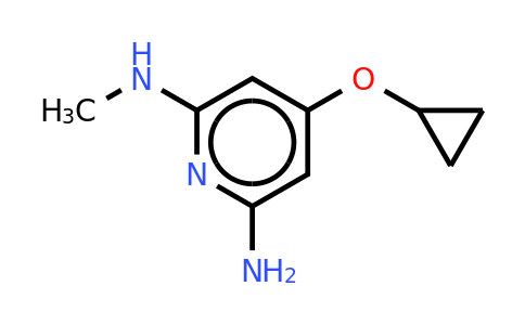 CAS 1243392-98-4 | 4-Cyclopropoxy-2-N-methylpyridine-2,6-diamine