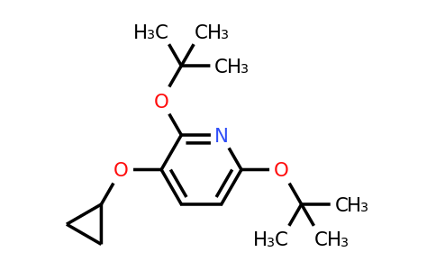CAS 1243393-72-7 | 2,6-DI-Tert-butoxy-3-cyclopropoxypyridine