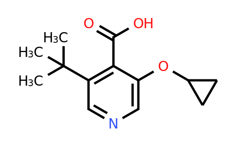 CAS 1243393-80-7 | 3-Tert-butyl-5-cyclopropoxyisonicotinic acid