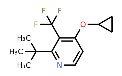 CAS 1243393-89-6 | 2-Tert-butyl-4-cyclopropoxy-3-(trifluoromethyl)pyridine