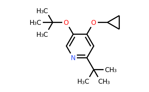 CAS 1243393-91-0 | 5-Tert-butoxy-2-tert-butyl-4-cyclopropoxypyridine