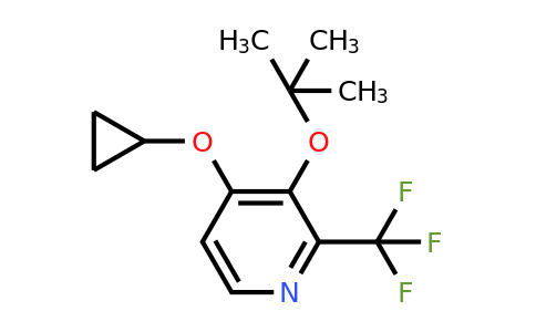 CAS 1243394-09-3 | 3-Tert-butoxy-4-cyclopropoxy-2-(trifluoromethyl)pyridine