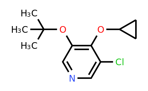 CAS 1243394-27-5 | 3-Tert-butoxy-5-chloro-4-cyclopropoxypyridine