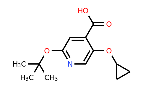CAS 1243394-67-3 | 2-Tert-butoxy-5-cyclopropoxyisonicotinic acid