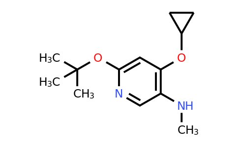CAS 1243394-80-0 | 6-Tert-butoxy-4-cyclopropoxy-N-methylpyridin-3-amine