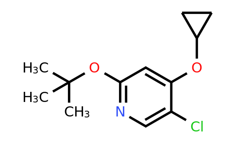 CAS 1243394-85-5 | 2-Tert-butoxy-5-chloro-4-cyclopropoxypyridine