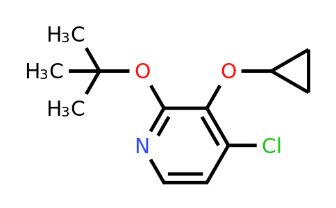 CAS 1243394-98-0 | 2-Tert-butoxy-4-chloro-3-cyclopropoxypyridine