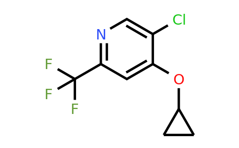 CAS 1243398-37-9 | 5-Chloro-4-cyclopropoxy-2-(trifluoromethyl)pyridine