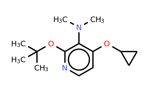 CAS 1243399-37-2 | 2-Tert-butoxy-4-cyclopropoxy-N,n-dimethylpyridin-3-amine