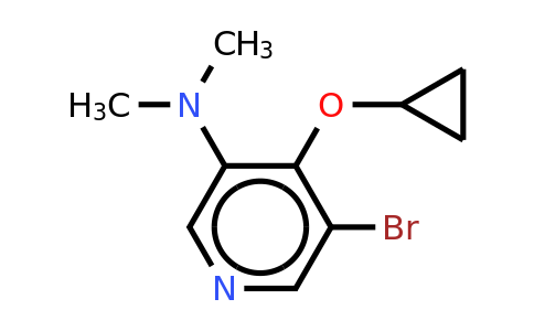 CAS 1243399-66-7 | 5-Bromo-4-cyclopropoxy-N,n-dimethylpyridin-3-amine