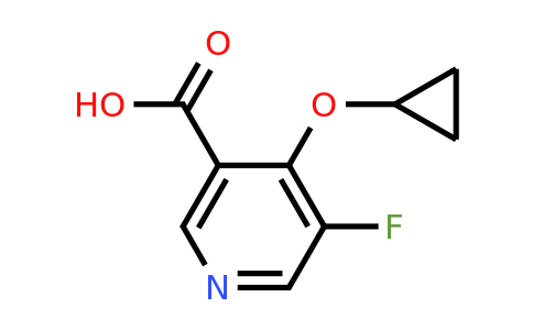 CAS 1243401-38-8 | 4-Cyclopropoxy-5-fluoronicotinic acid