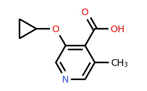 CAS 1243401-45-7 | 3-Cyclopropoxy-5-methylisonicotinic acid