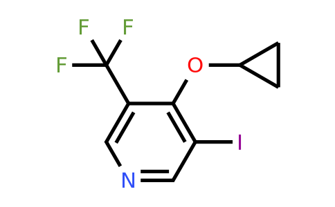 CAS 1243403-92-0 | 4-Cyclopropoxy-3-iodo-5-(trifluoromethyl)pyridine