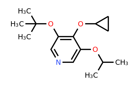 CAS 1243404-11-6 | 3-Tert-butoxy-4-cyclopropoxy-5-isopropoxypyridine