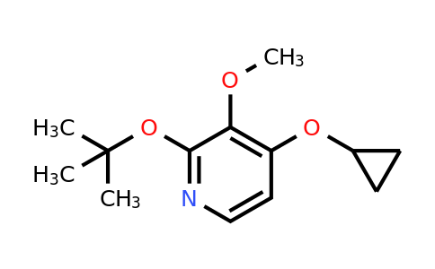 CAS 1243405-21-1 | 2-Tert-butoxy-4-cyclopropoxy-3-methoxypyridine