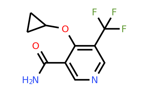 CAS 1243405-83-5 | 4-Cyclopropoxy-5-(trifluoromethyl)nicotinamide