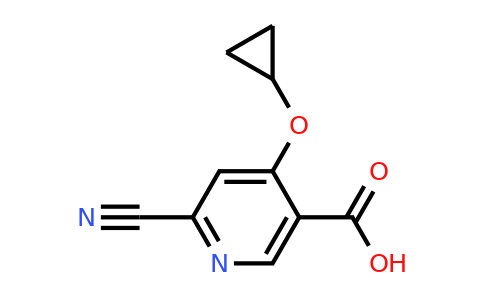 CAS 1243405-84-6 | 6-Cyano-4-cyclopropoxynicotinic acid