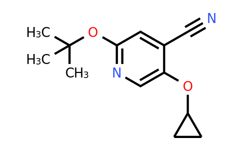 CAS 1243406-73-6 | 2-Tert-butoxy-5-cyclopropoxyisonicotinonitrile