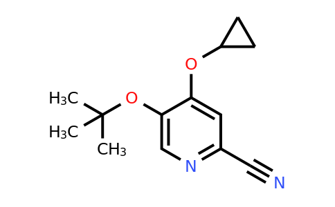 CAS 1243407-04-6 | 5-Tert-butoxy-4-cyclopropoxypicolinonitrile
