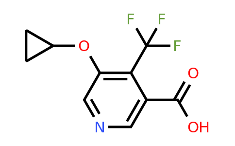 CAS 1243407-45-5 | 5-Cyclopropoxy-4-(trifluoromethyl)nicotinic acid