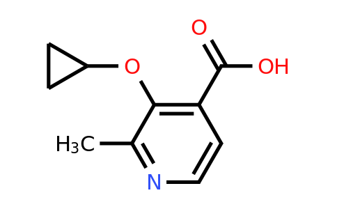 CAS 1243407-49-9 | 3-Cyclopropoxy-2-methylisonicotinic acid
