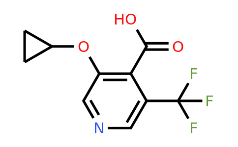 CAS 1243408-89-0 | 3-Cyclopropoxy-5-(trifluoromethyl)isonicotinic acid