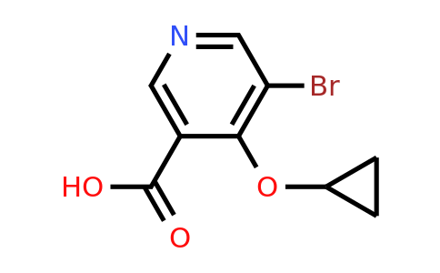 CAS 1243409-87-1 | 5-Bromo-4-cyclopropoxynicotinic acid