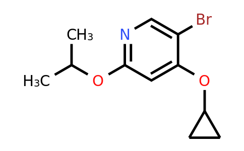 CAS 1243410-88-9 | 5-Bromo-4-cyclopropoxy-2-isopropoxypyridine