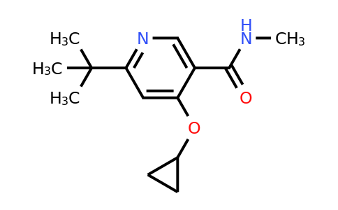 CAS 1243410-91-4 | 6-Tert-butyl-4-cyclopropoxy-N-methylnicotinamide