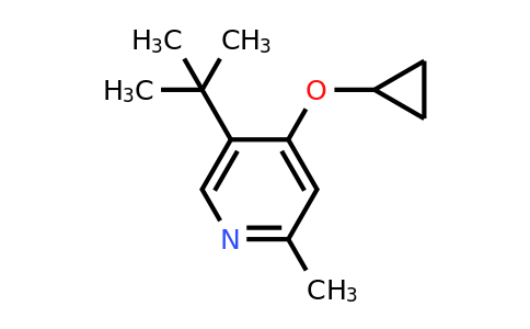 CAS 1243411-34-8 | 5-Tert-butyl-4-cyclopropoxy-2-methylpyridine