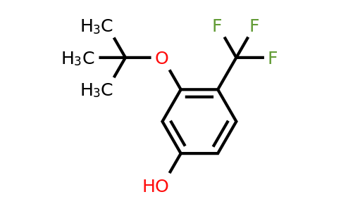 CAS 1243411-40-6 | 3-Tert-butoxy-4-(trifluoromethyl)phenol