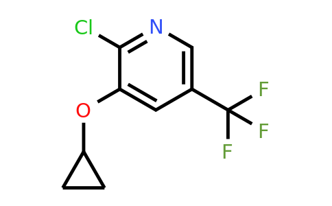 CAS 1243414-97-2 | 2-Chloro-3-cyclopropoxy-5-(trifluoromethyl)pyridine