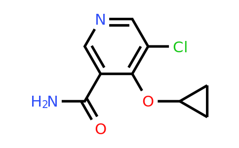 CAS 1243417-92-6 | 5-Chloro-4-cyclopropoxynicotinamide