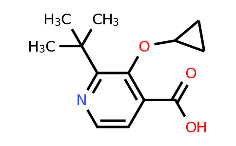 CAS 1243440-21-2 | 2-Tert-butyl-3-cyclopropoxyisonicotinic acid