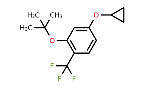 CAS 1243440-28-9 | 2-Tert-butoxy-4-cyclopropoxy-1-(trifluoromethyl)benzene