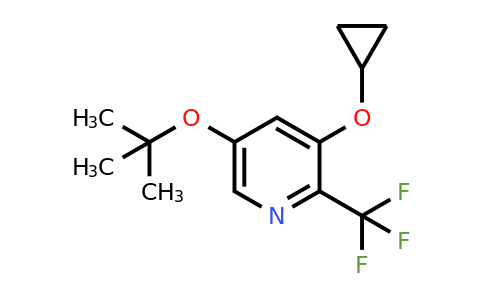 CAS 1243440-95-0 | 5-Tert-butoxy-3-cyclopropoxy-2-(trifluoromethyl)pyridine