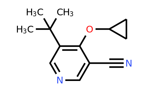 CAS 1243441-04-4 | 5-Tert-butyl-4-cyclopropoxynicotinonitrile