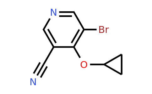 CAS 1243441-34-0 | 5-Bromo-4-cyclopropoxynicotinonitrile