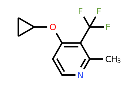 CAS 1243441-43-1 | 4-Cyclopropoxy-2-methyl-3-(trifluoromethyl)pyridine
