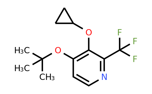 CAS 1243441-55-5 | 4-Tert-butoxy-3-cyclopropoxy-2-(trifluoromethyl)pyridine